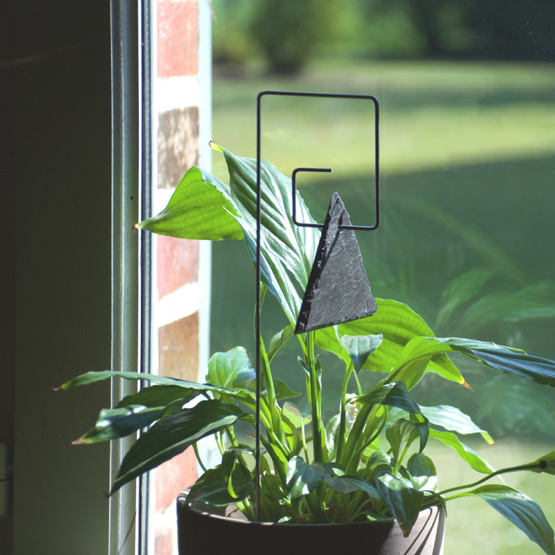 Porte-étiquette Piet avec étiquette ardoise triangle sur plante verte