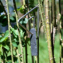 Tuteur métallique de jardin PABLO inox 6 avec étiquette ardoise languette