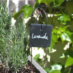 Porte-étiquette Gustav avec étiquette ardoise carrée sur lavande