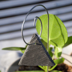 Porte-étiquette Gustav avec étiquette ardoise triangle sur plante d'intérieur