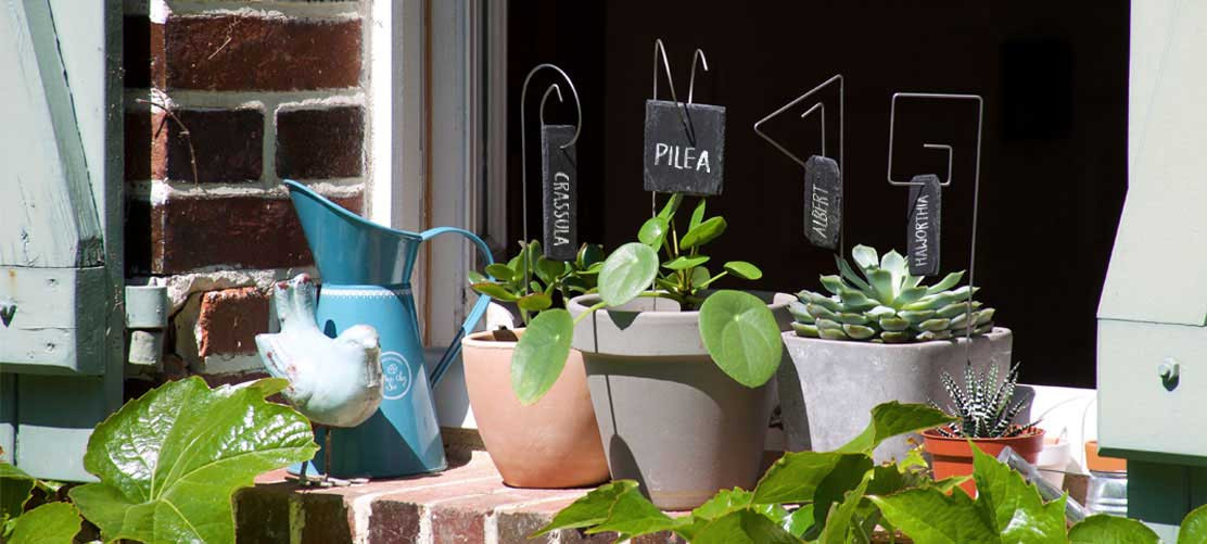 6 Étiquettes ARDOISE pour Jardin + Support INOX