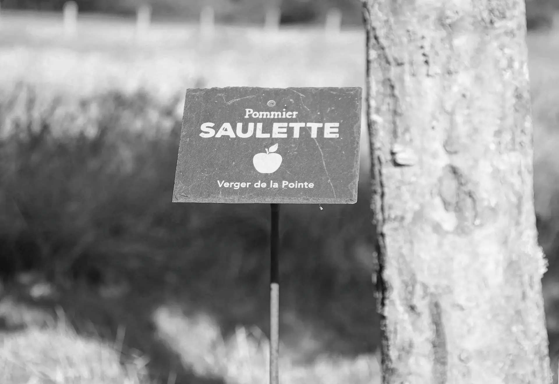 Durabilité-Marquage Le Jardin de Léon