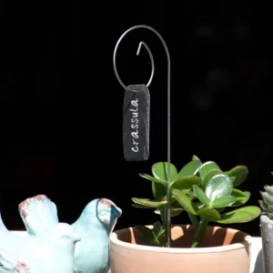 Porte étiquette Gustave 30 cm - Ardoises Léon - La P'tite Boutique du Jardin de Léon