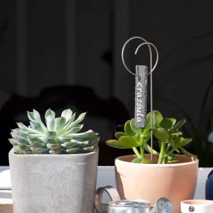Porte étiquette Juan 30 cm - Ardoise Languette - La P'tite Boutique du Jardin de Léon