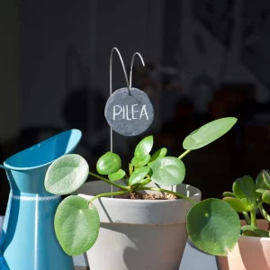 Porte étiquette Juan 30 cm - Ardoise ronde - La P'tite Boutique du Jardin de Léon