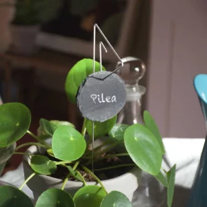 Porte étiquette Pablo 30 cm - La P'tite Boutique du Jardin de Léon