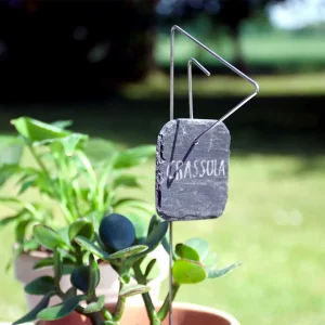 Porte étiquette Pablo 30 cm - Ardoise carrée coins ronds - La P'tite Boutique du Jardin de Léon