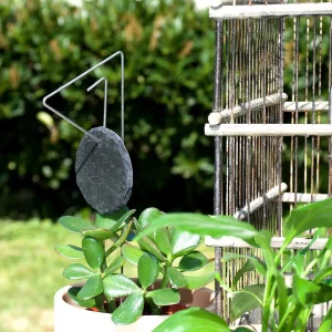Porte étiquette Pablo 30 cm - Ardoise ronde - La P'tite Boutique du Jardin de Léon
