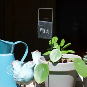 Porte étiquette Piet 30 cm - Ardoise carrée - La P'tite Boutique du Jardin de Léon