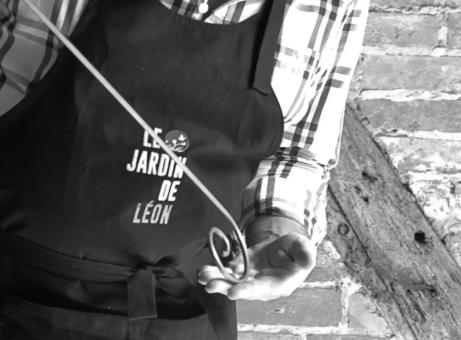 Vérification volute Le Jardin de Léon