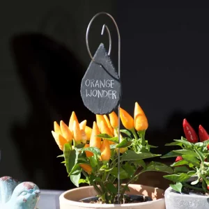 Étiquette ardoise goutte - La P'tite Boutique du Jardin de Léon