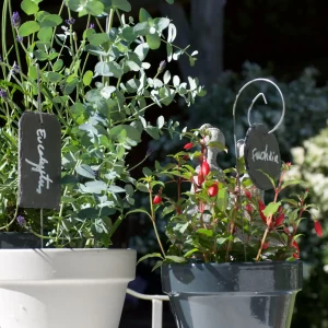 Porte étiquette Gustave 30 cm - Ardoises Léon et ardoise ronde - La P'tite Boutique du Jardin de Léon