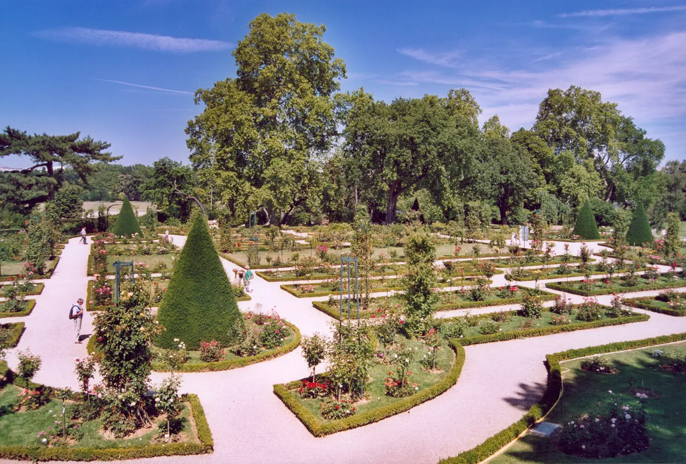Roseraie Jardins de Bagatelle - Le Jardin de Léon