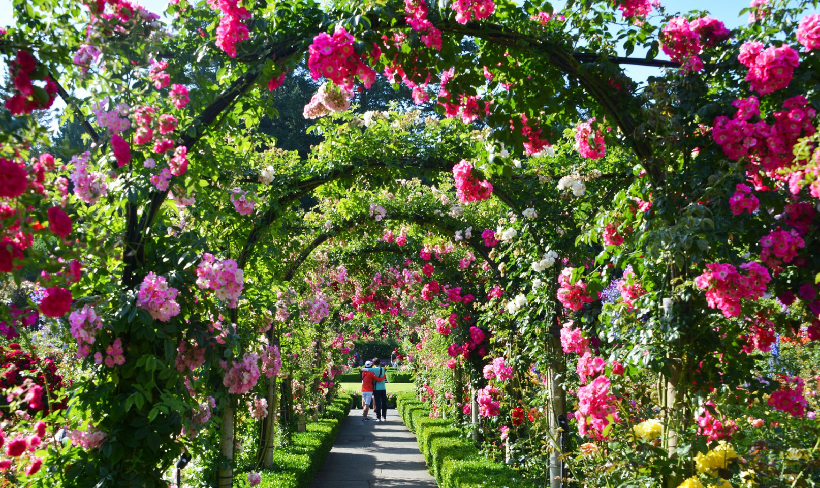 Les Roseraies du monde Butchart gardens Canada - Le Jardin de Léon