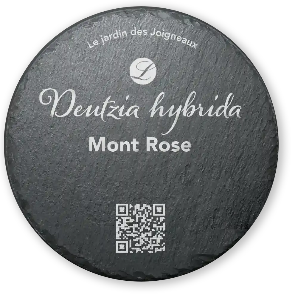 Ardoise ronde gravée au laser - Le jardin de Léon